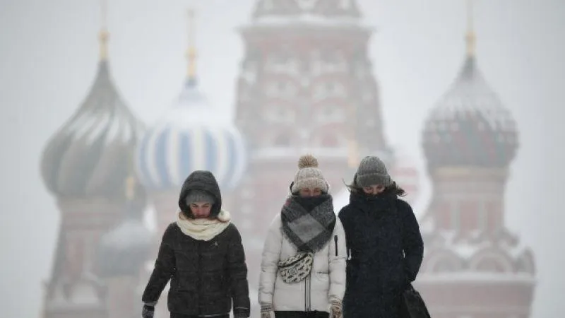 Берегите уши и шею: советы, которые помогут не замерзнуть в мороз