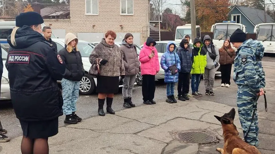 Фото: Министерство социального развития МО