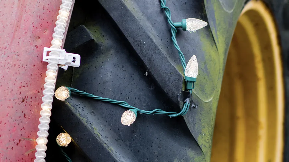 Фото: istockphoto.com/Roman_Makedonsky