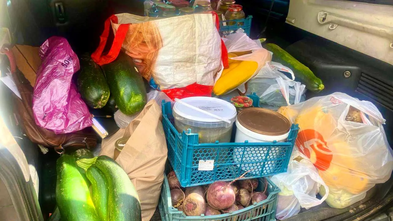 Фото: Лотошинское Отделение ВООВ «Боевое Братство»