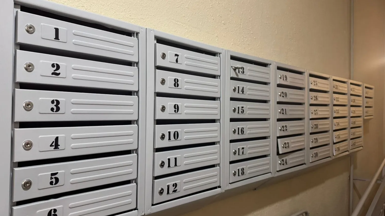 Фото: пресс-служба администрации Наро-Фоминского г.о.