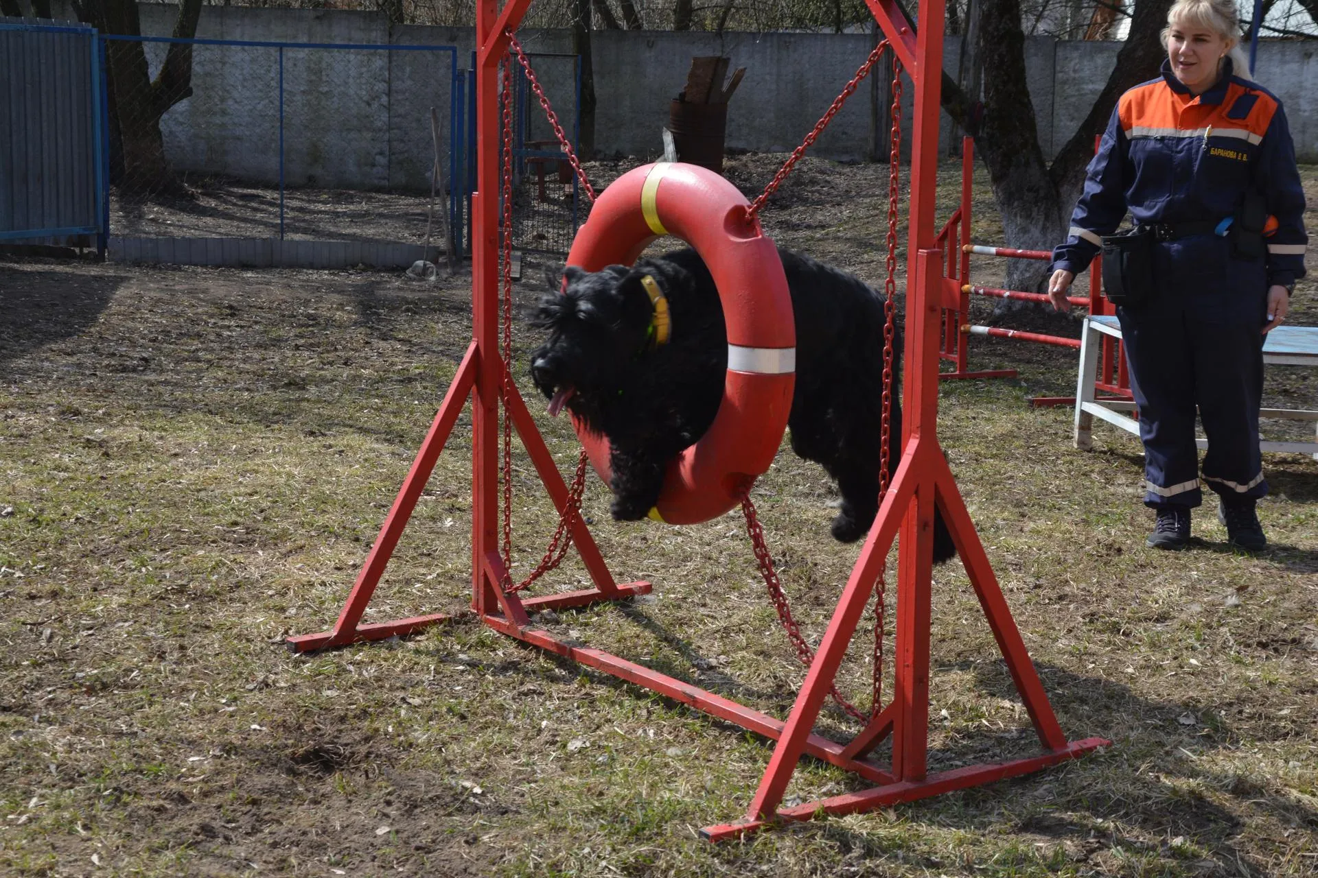 Фото: ГКУ МО «Мособлпожспас», ГКУ МО «Московская областная противопожарно-спасательная служба»