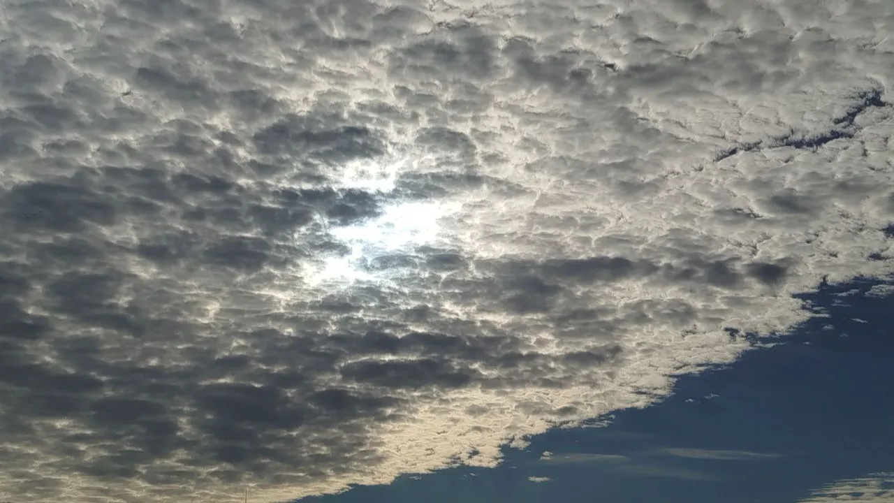 REGIONS/Юлия Куделькина