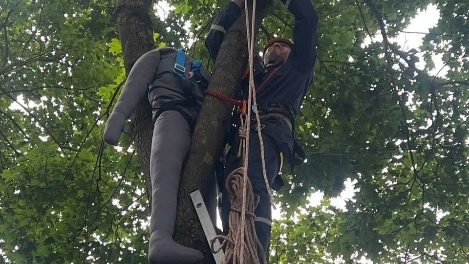 Фото: Администрация г.о. Чехов