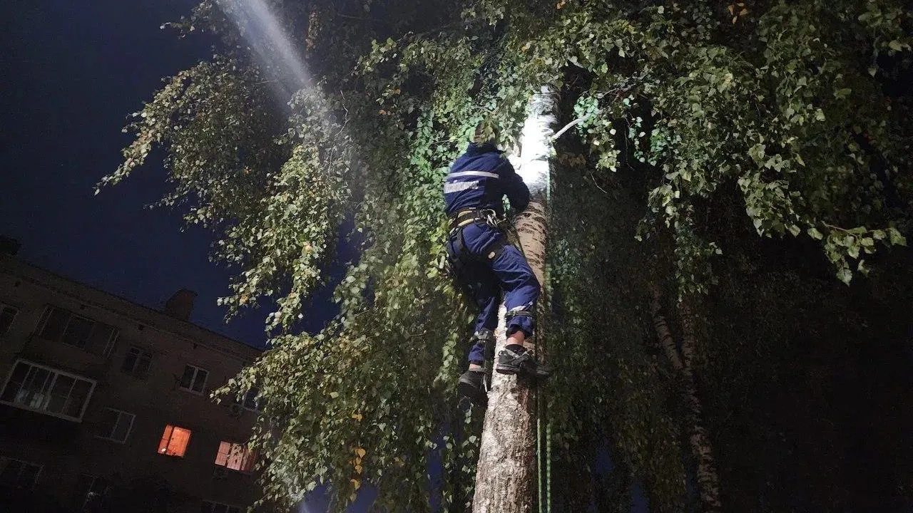 ГКУ МО «Мособлпожспас»