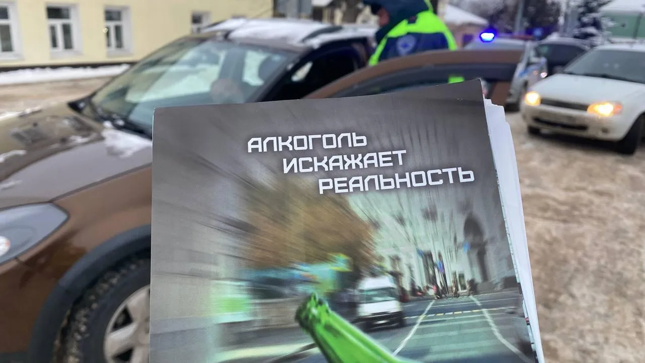 Источник: пресс-служба ГИБДД по городскому округу Павловский Посад