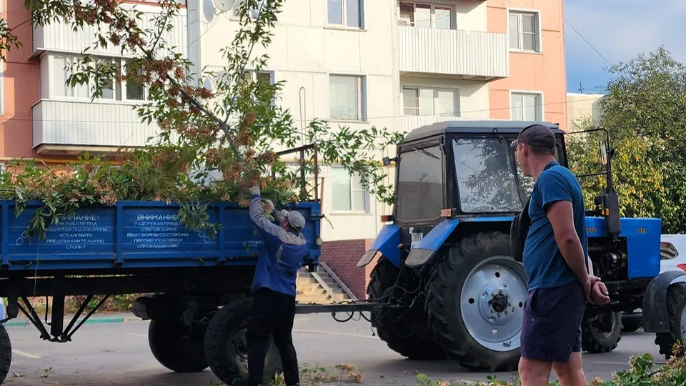 Фото: Ольга Антонова