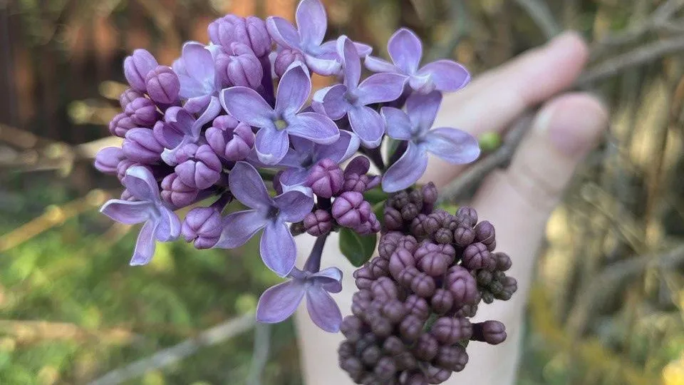 Фото: социальные сети