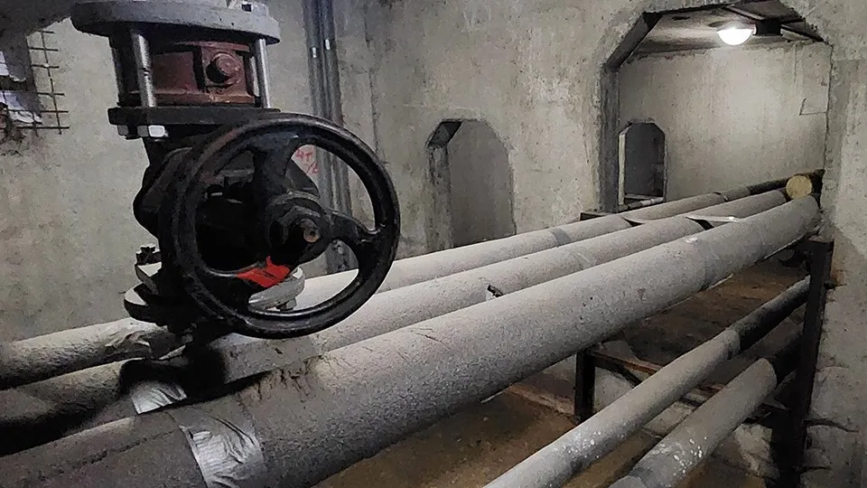 Фото: МедиаБанк Подмосковья/Наталия Надточая