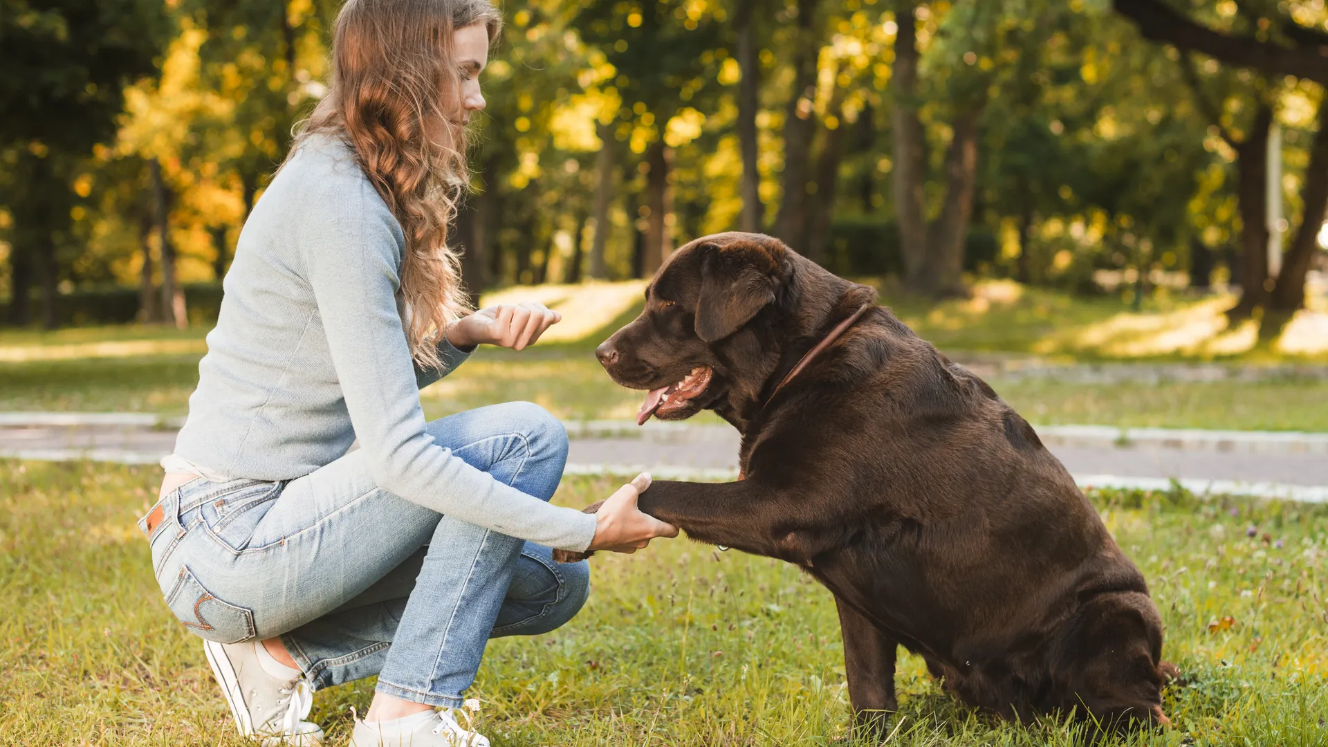 Фото: freepik.com