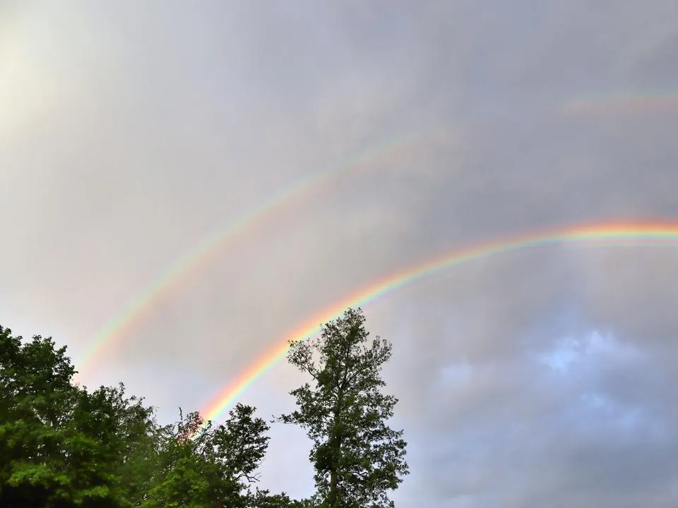 Фото: istockphoto.com