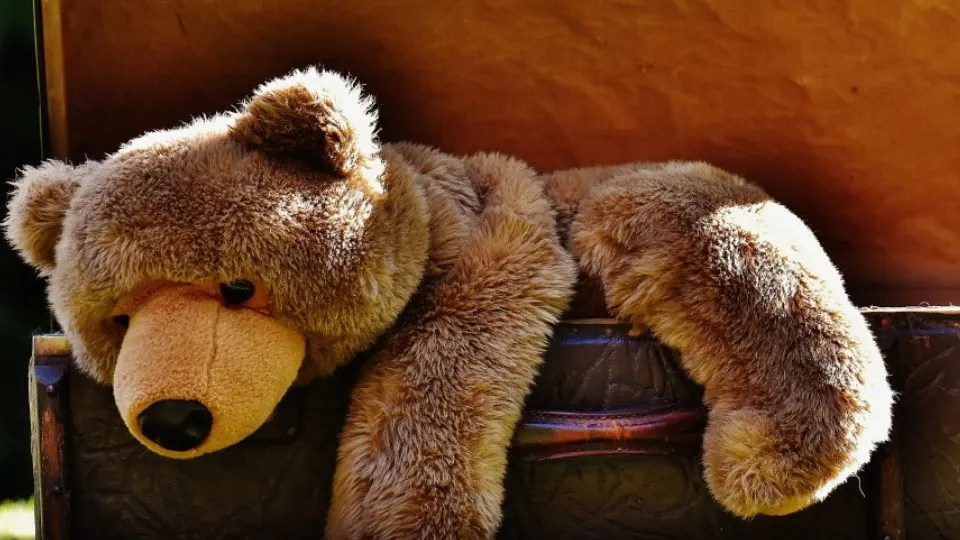 Фото: pxhere.com