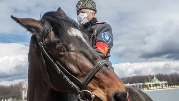 Власти Москвы не будут привлекать казаков к охране порядка на новогодних праздниках