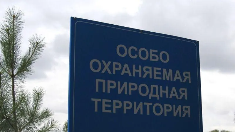 Туризм с опорой на особо охраняемые природные территории активно развивается в Подмосковье