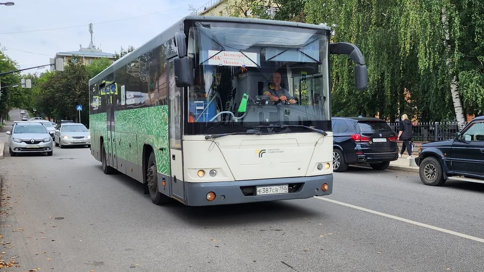 Фото: Хавива Фонина