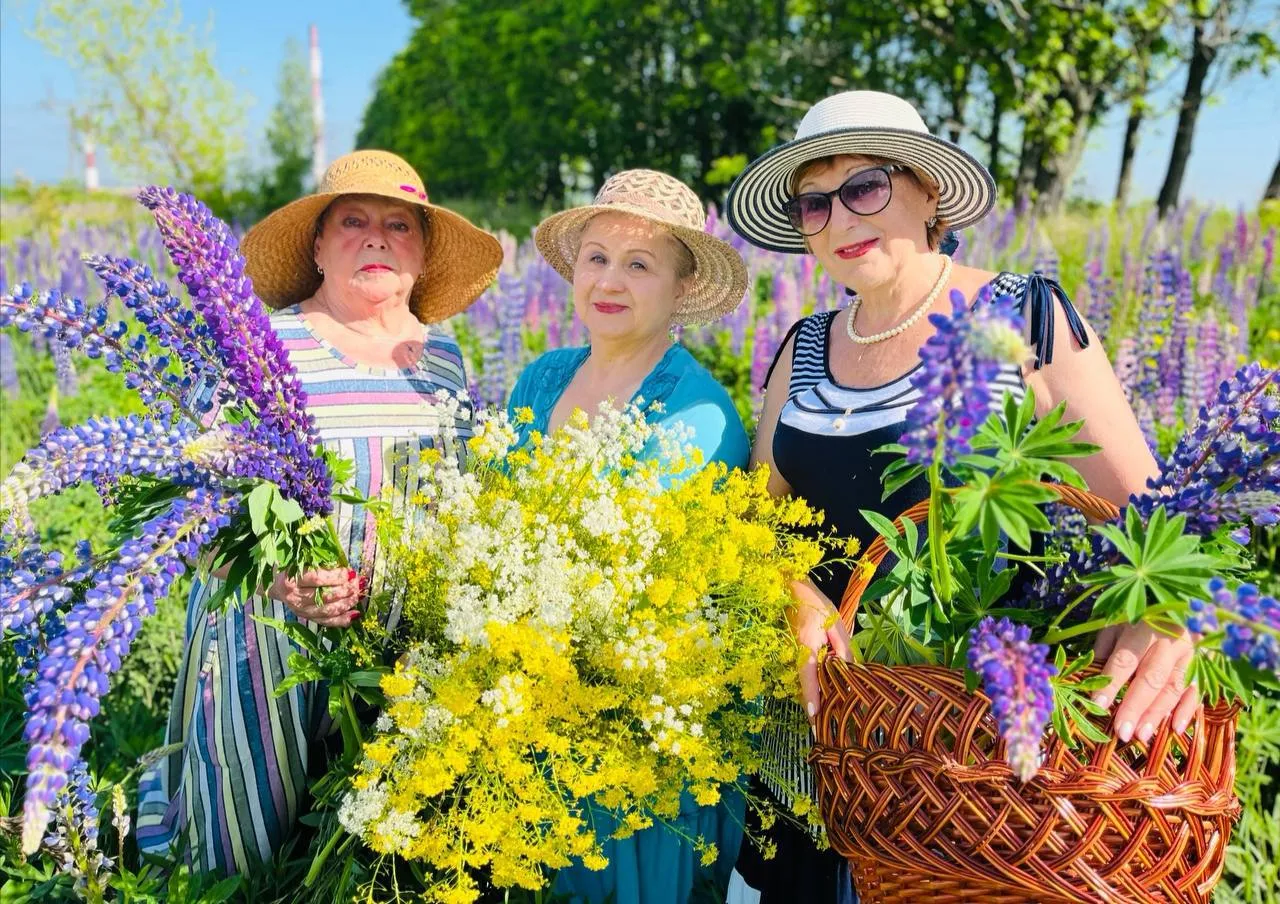 Фото: проект&nbsp;«Активное долголетие» в г.о. Зарайск