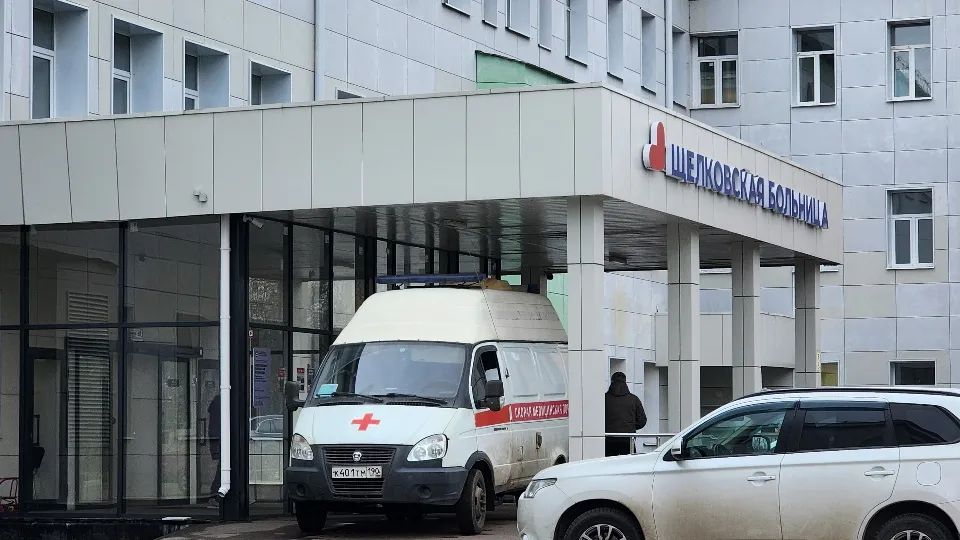 Фото: МедиаБанк Подмосковья/Валерия Тингаева