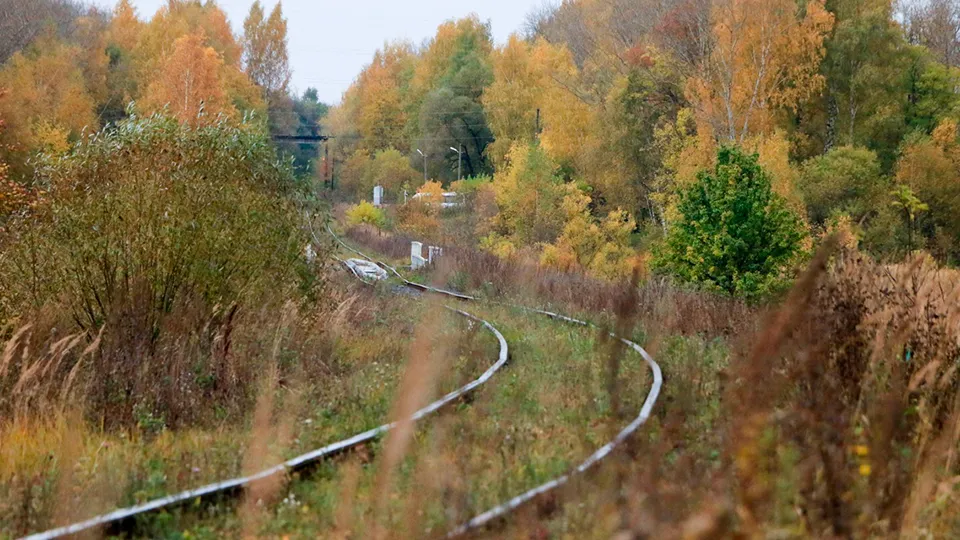 Фото: REGIONS/Евгений Мазепов
