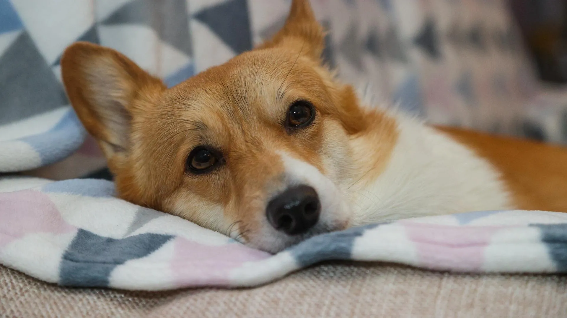 Bulkin Sergey/news.ru