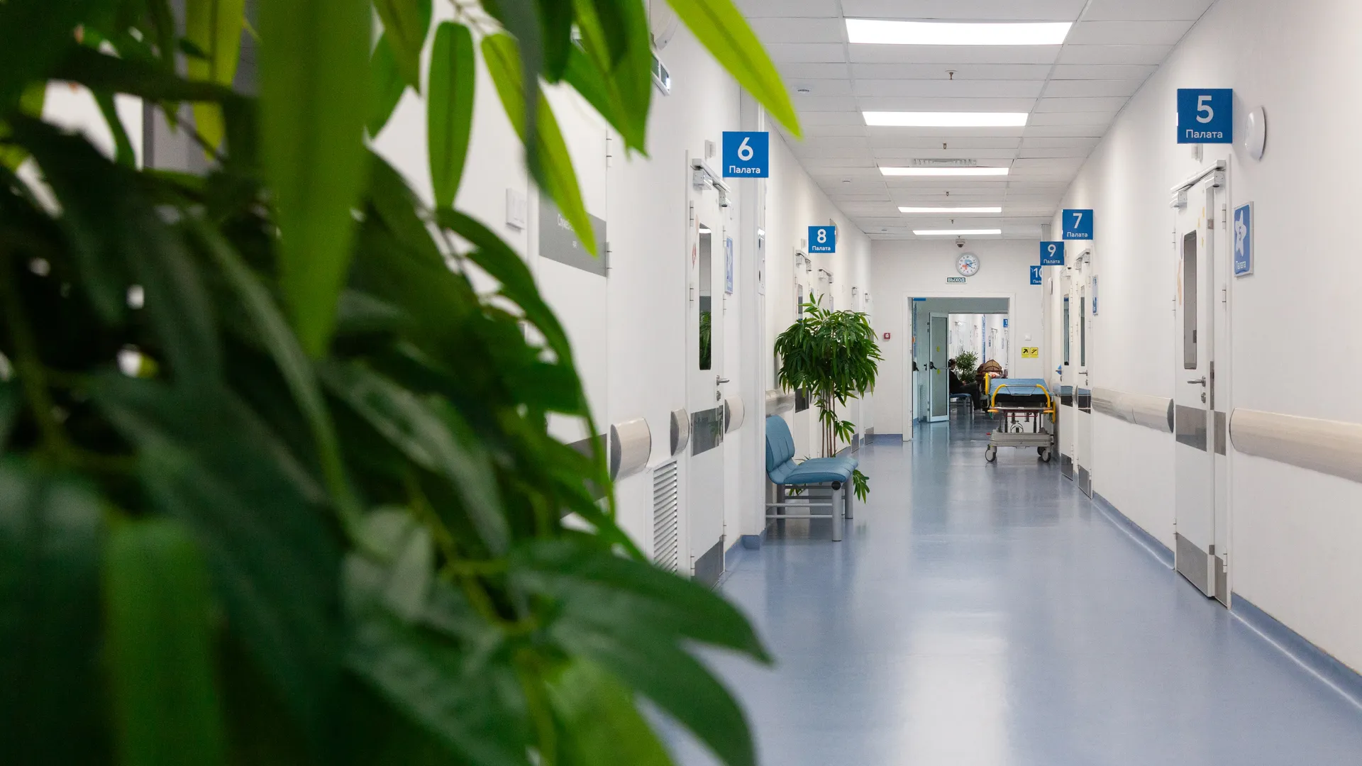 Подмосковные ортопеды восстановили кисть ребенку с врожденной аномалией