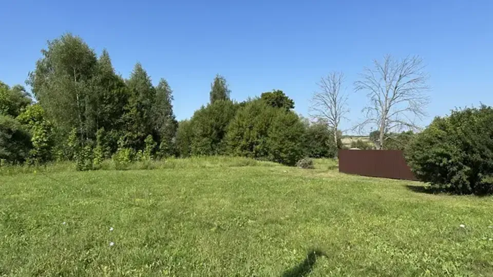 Фото: Комитет по конкурентной политике Московской области