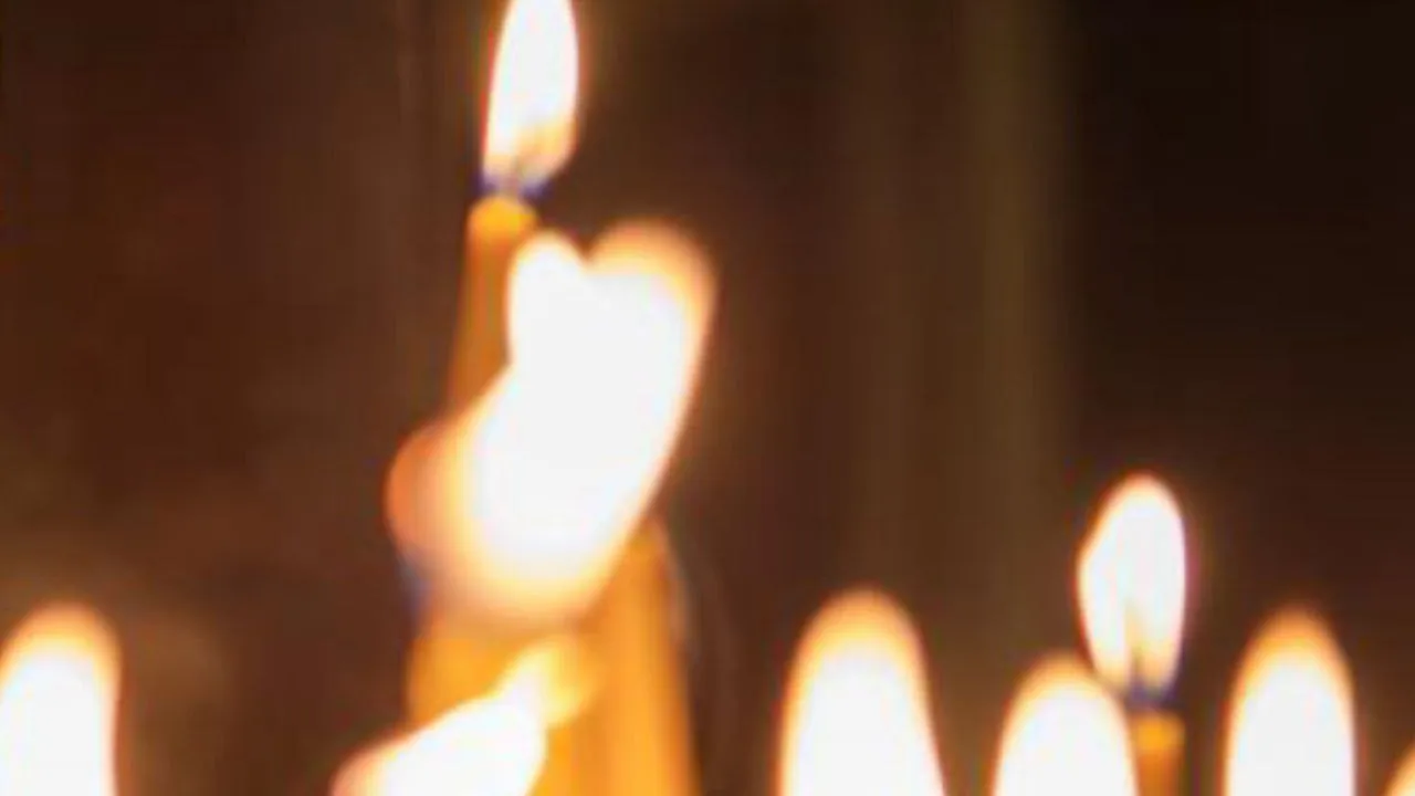 Фото: istockphoto.com/ZeynepKaya