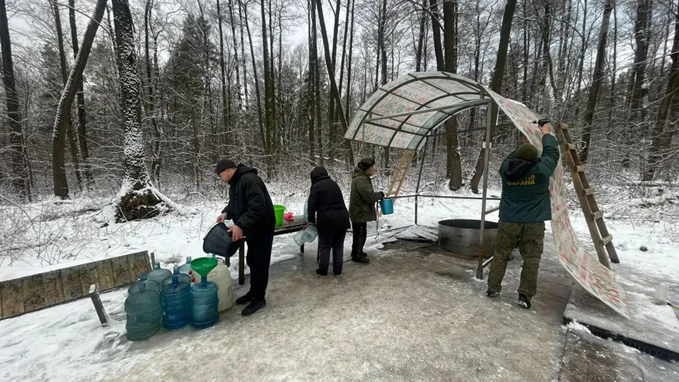 Фото: Комлесхоз МО