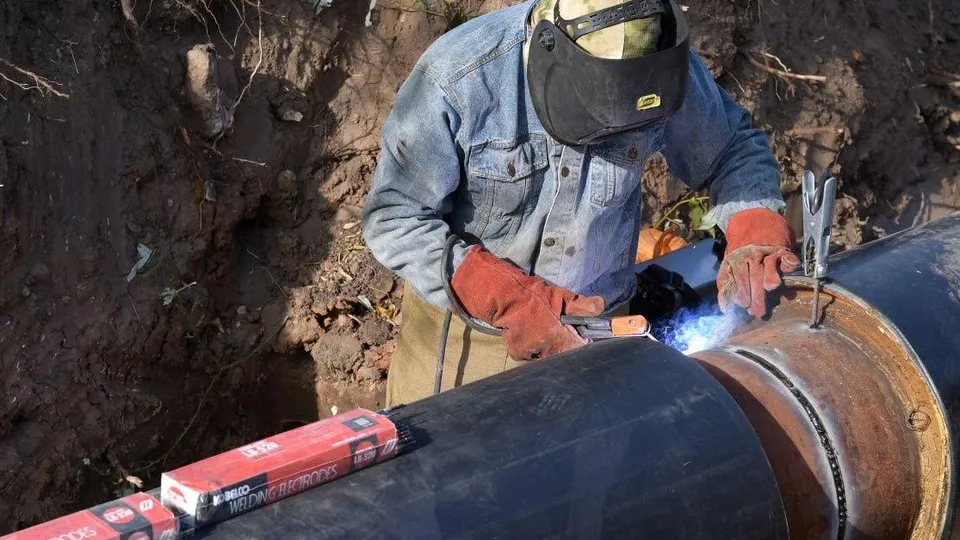 Фото: пресс-служба Администрации г.о. Дмитров