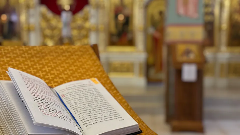 Фото: МедиаБанк Подмосковья/Полина Абраменко