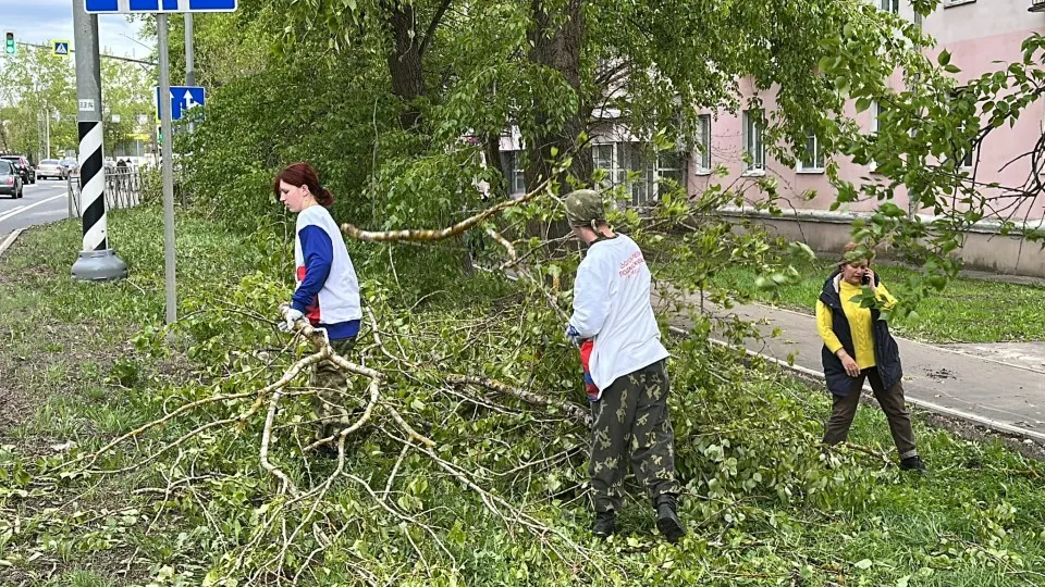 Фото: МедиаБанк Подмосковья/Данила Кирьянов