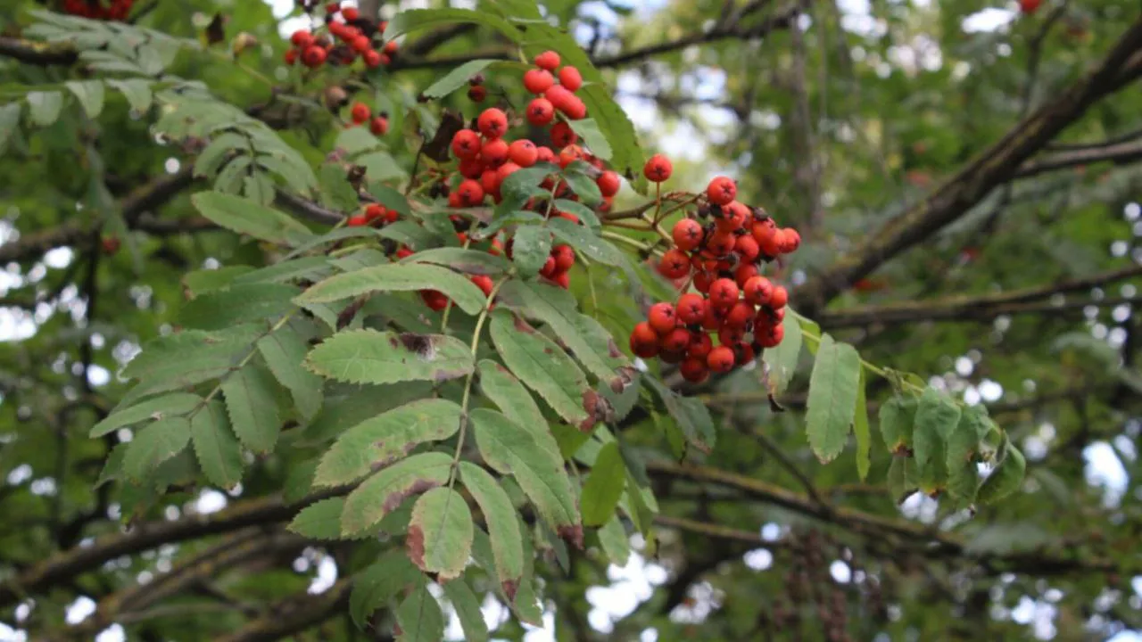 Фото: предоставлено Анастасией Широкой