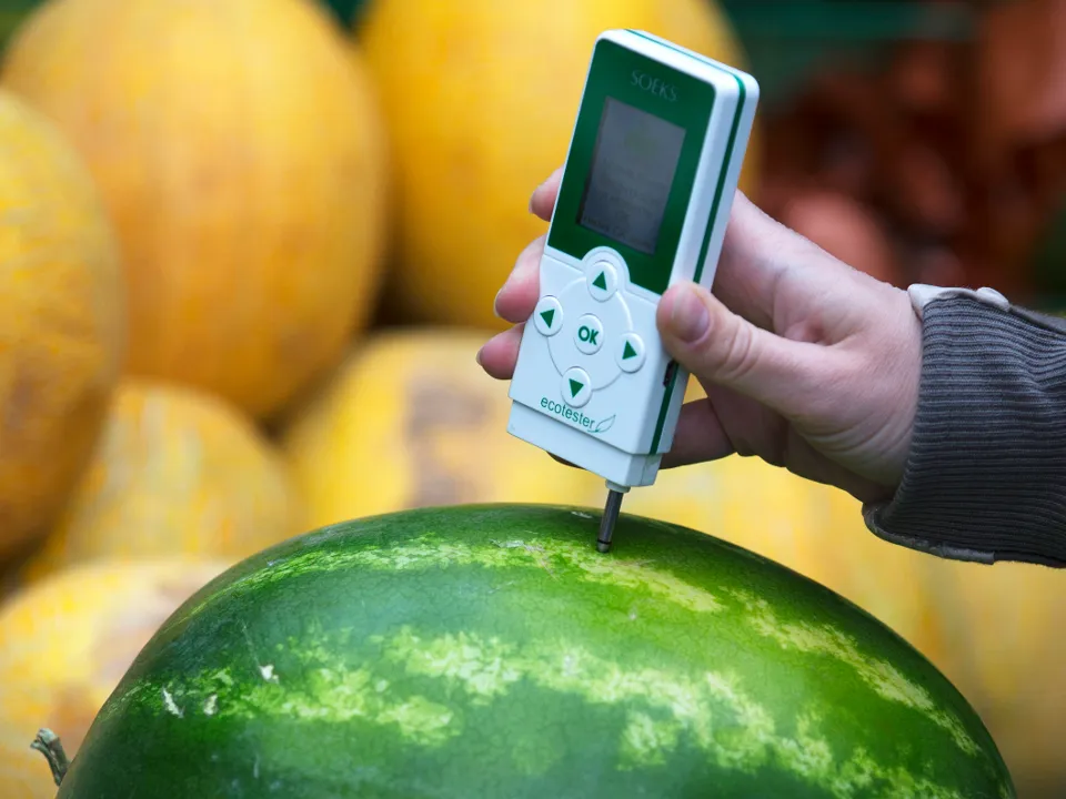 Фото: ТАСС/Сергей Бобылев
