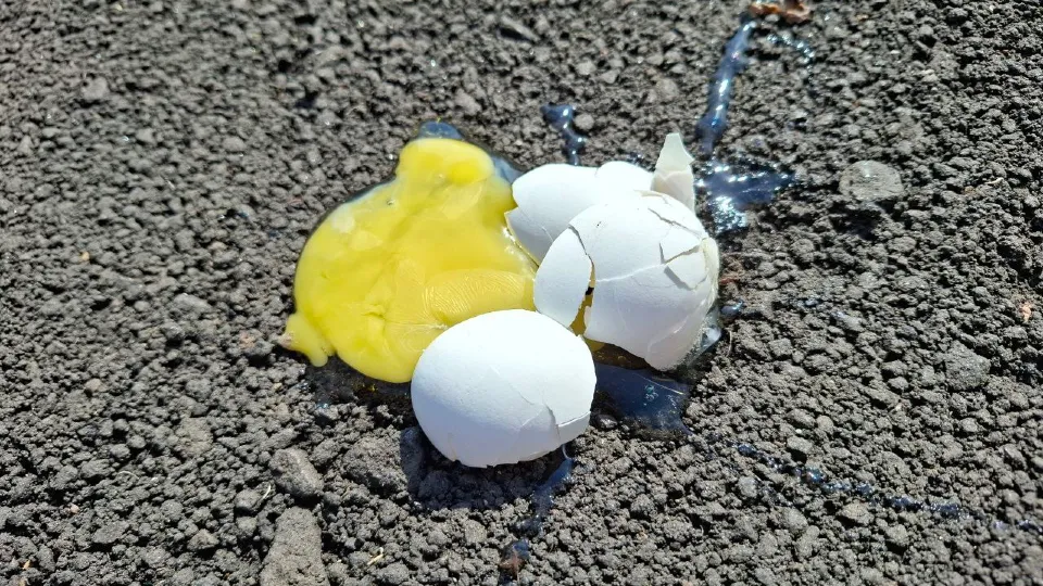 Фото: REGIONS/Юлия Габбасова