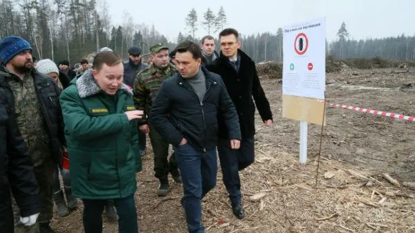 Эпидемия жука-короеда в Подмосковье остановлена – Воробьев