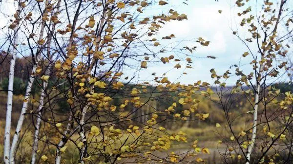 Борис Ушмайкин / РИА Новости