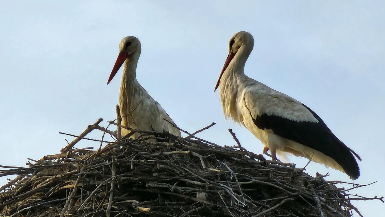 Фото: специальные корреспондеты РИАМО