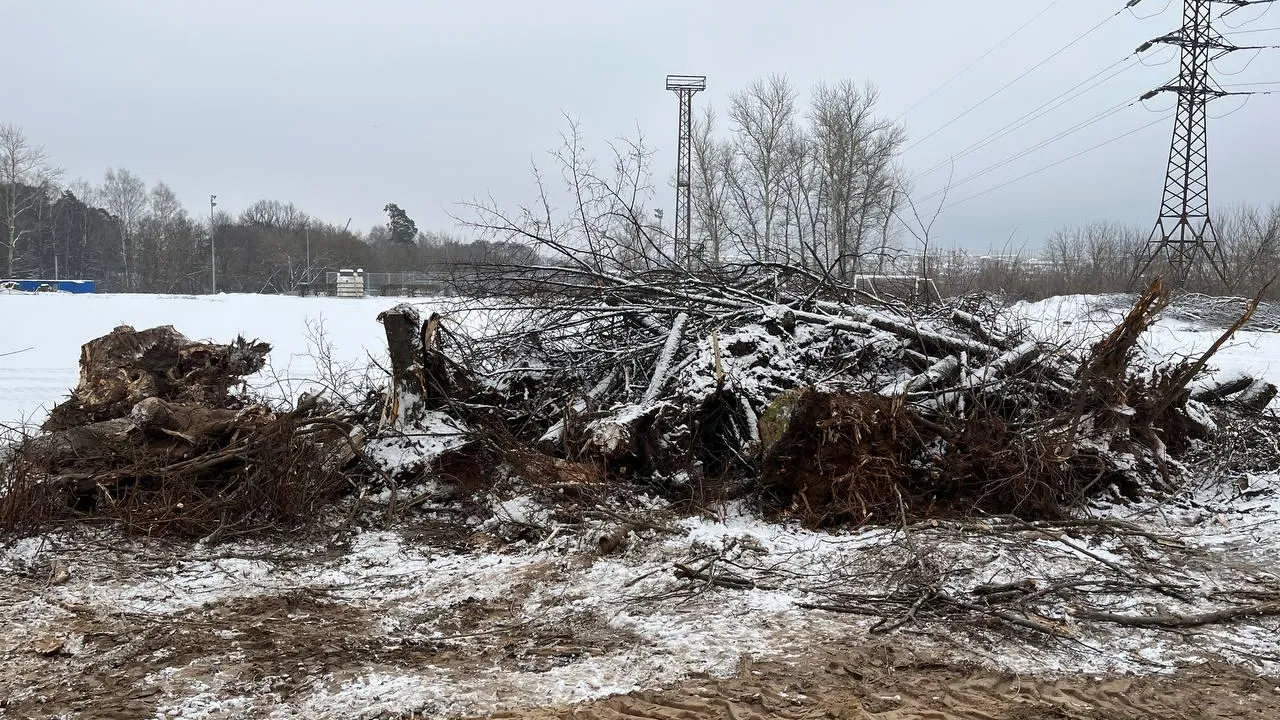 Фото: пресс-служба администрации г.о. Лыткарино