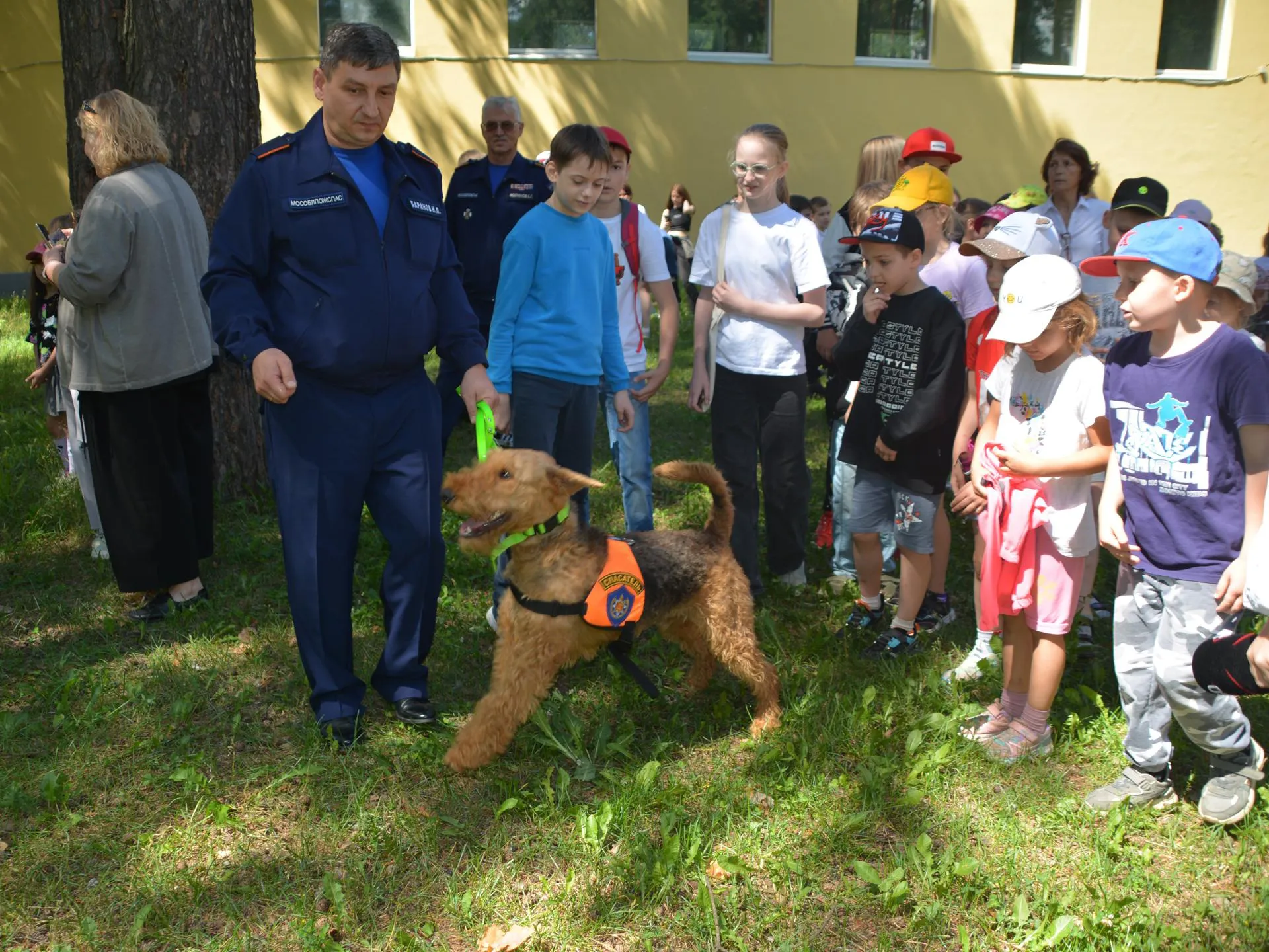Фото: ГКУ МО «Мособлпожспас»