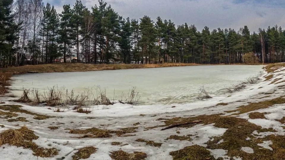 Фото: REGIONS/Владимир Ерастов