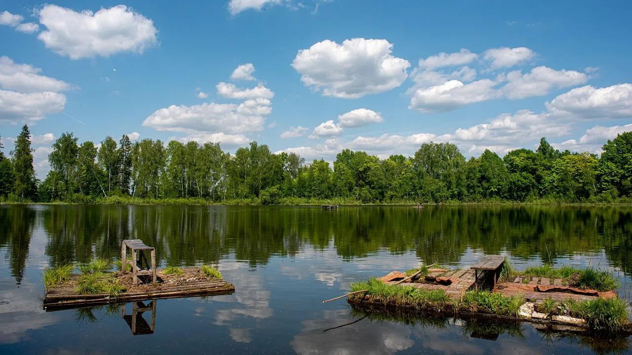Жителям Подмосковья рассказали о погоде в среду