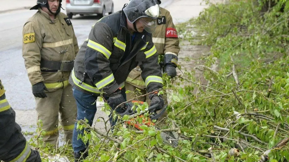 Фото: пресс-служба администрации Сергиево-Посадского г.о.
