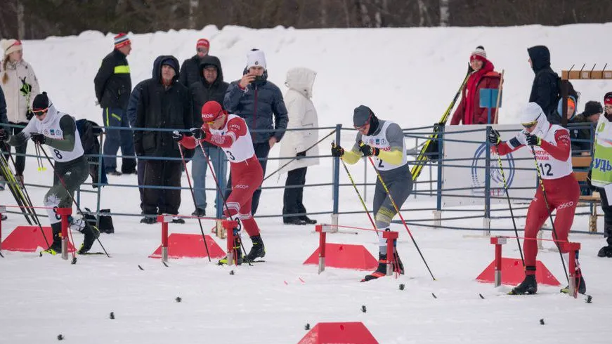 Фото: Фотобанк Московской области