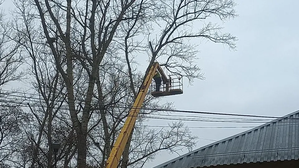 Фото: REGIONS/Олег Книжник