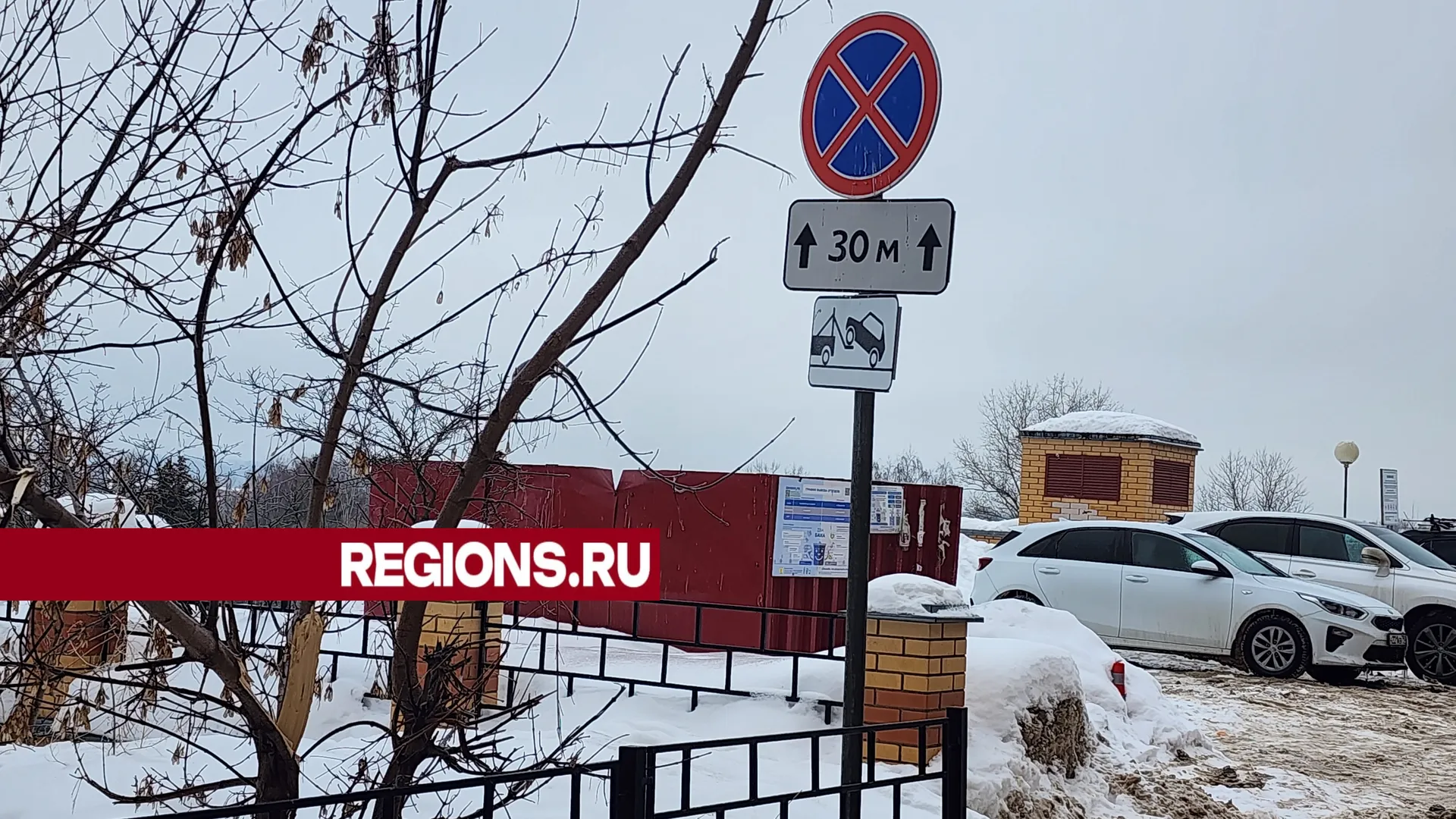 Фото: Светлана Борщева