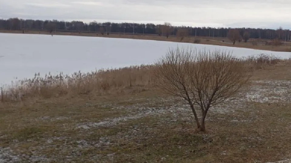 Фото: МБУ «Благоустройство и озеленение»