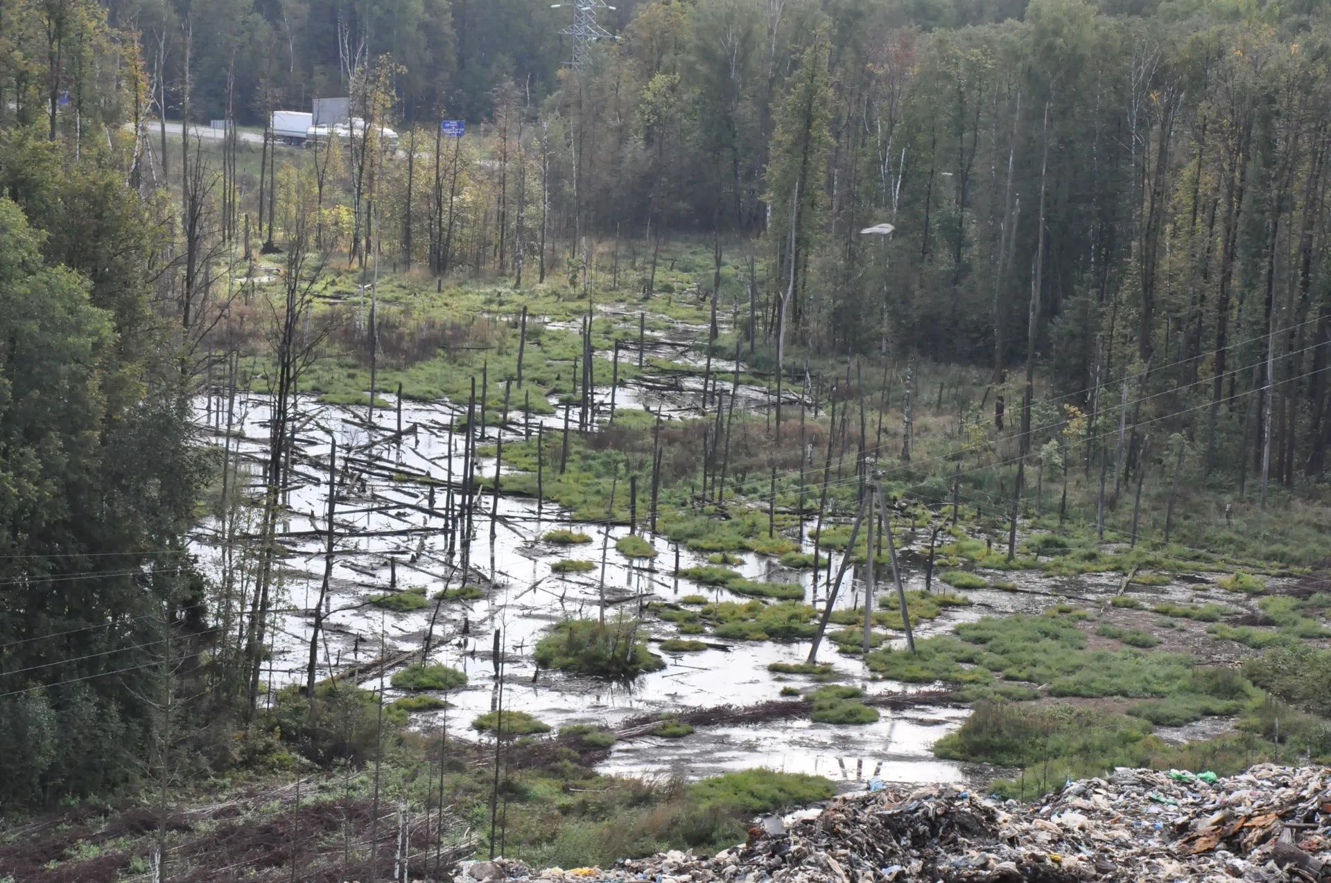 Фото 2017 года.