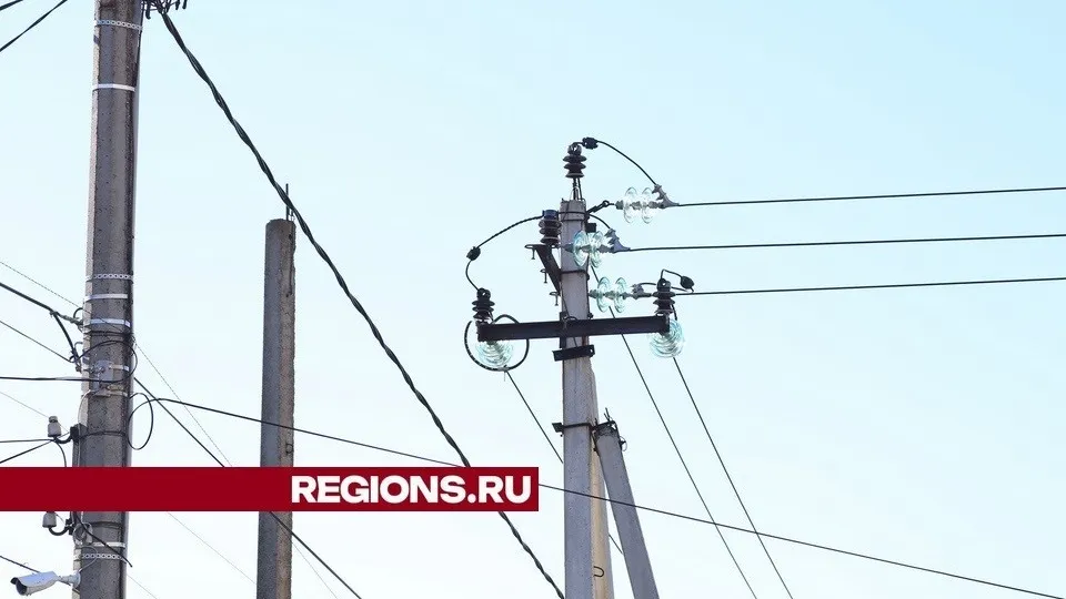 Фото: Александр Дрожжин