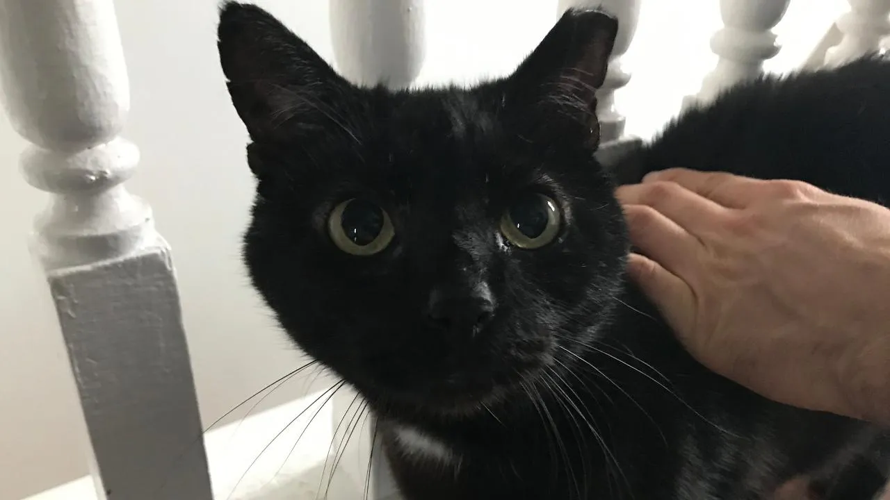 istockphoto.com/Brad Covington