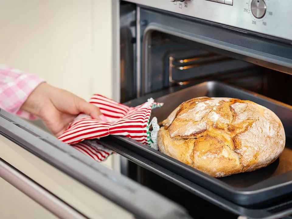 Фото: istockphoto.com/oska25