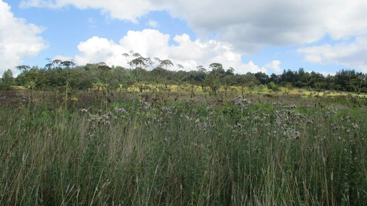 Фото: Россельхознадзор